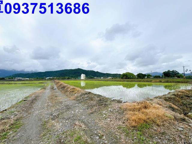 宜蘭農建地-11