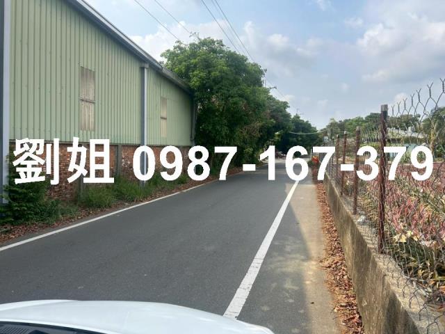 大樹農地-1