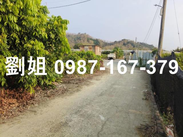 燕巢農地-1