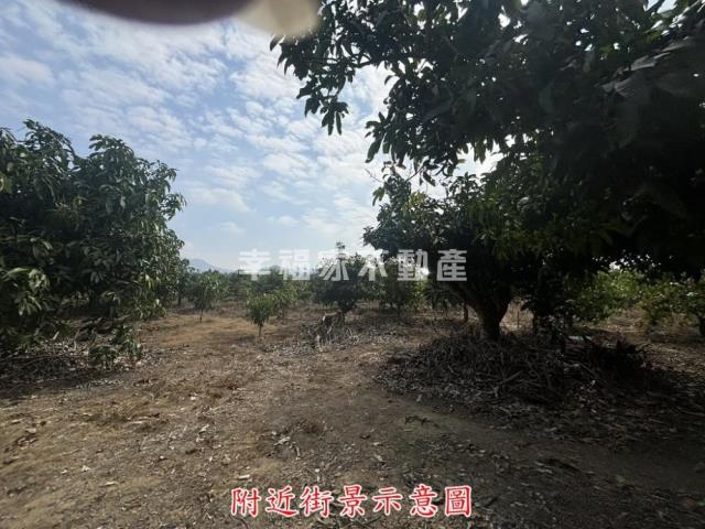 楠西農地-11