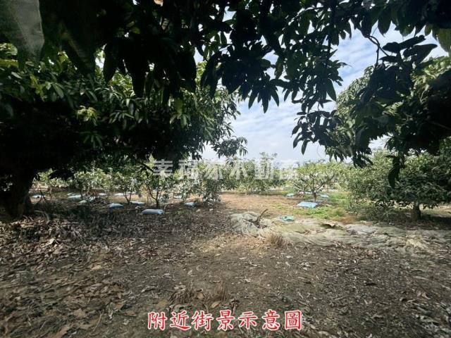 楠西農地-13