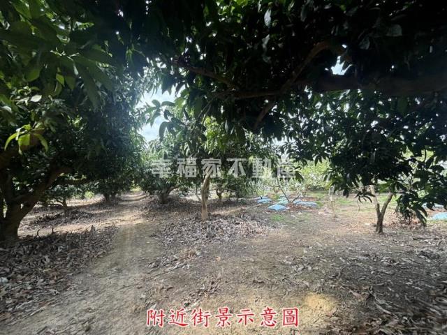楠西農地-14