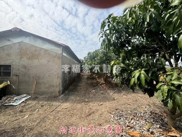 楠西農地-1