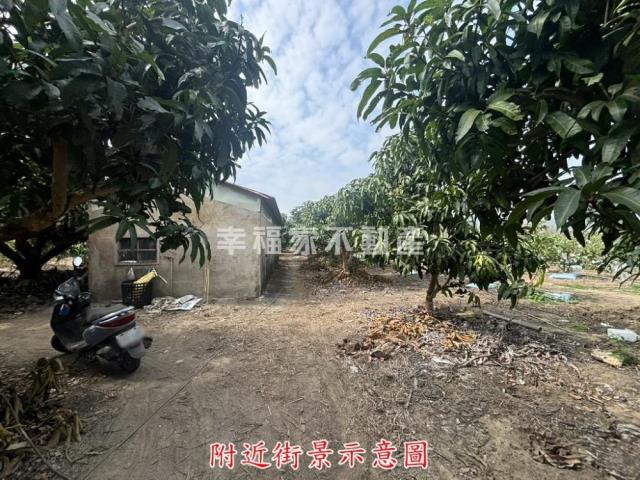 楠西農地-2