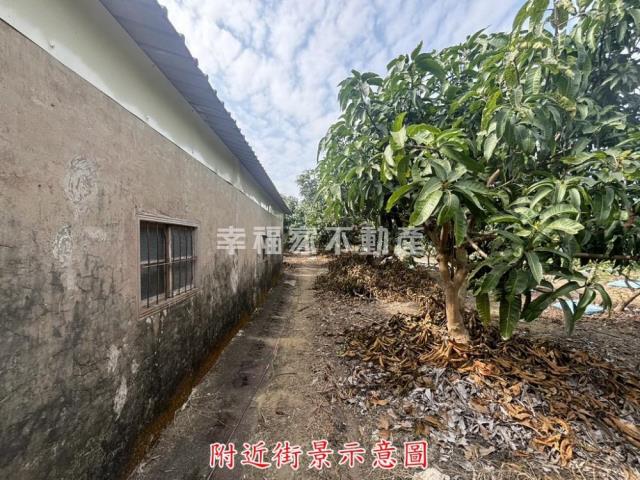 楠西農地-4