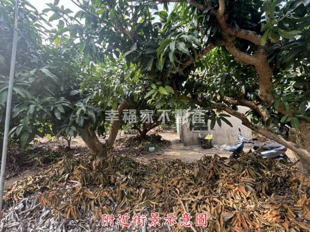 楠西農地-5
