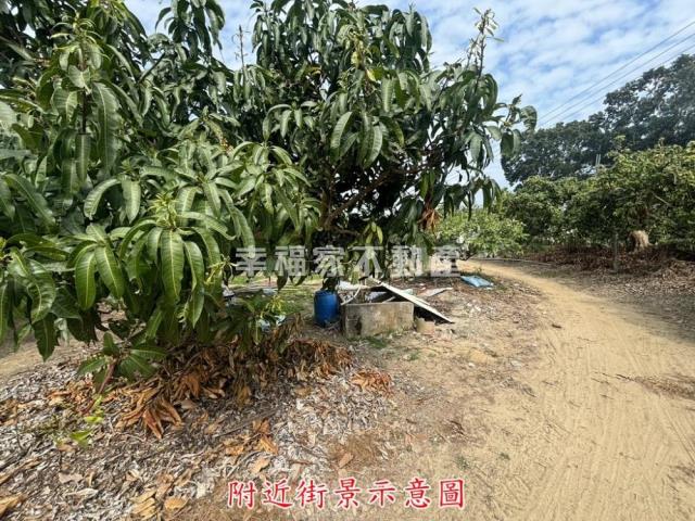 楠西農地-6