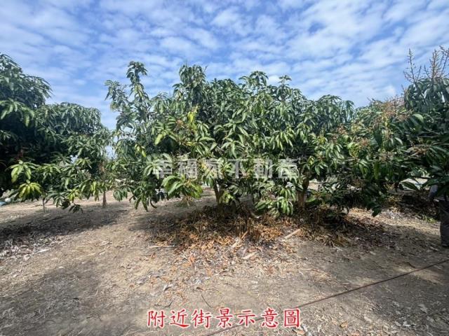 楠西農地-8