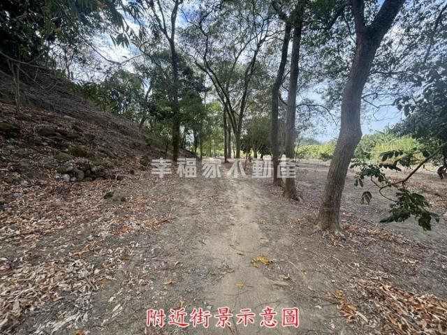 楠西農地-10