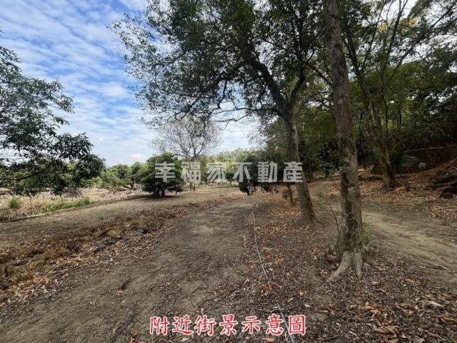 楠西農地-11