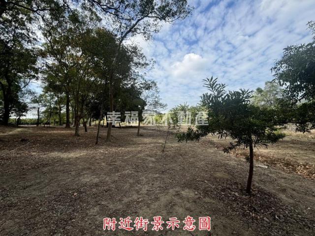 楠西農地-12