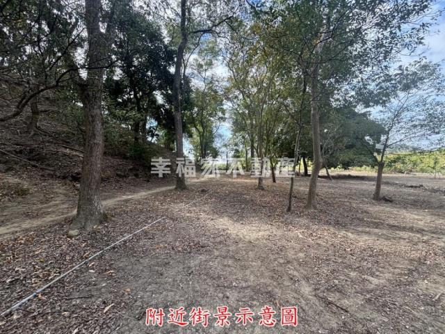 楠西農地-13