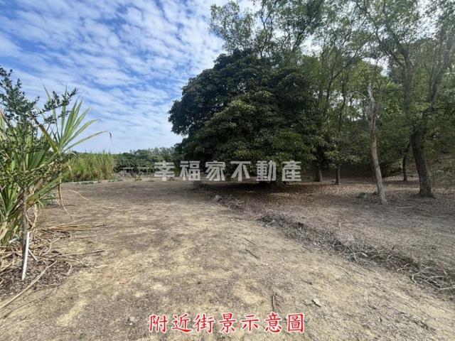 楠西農地-14