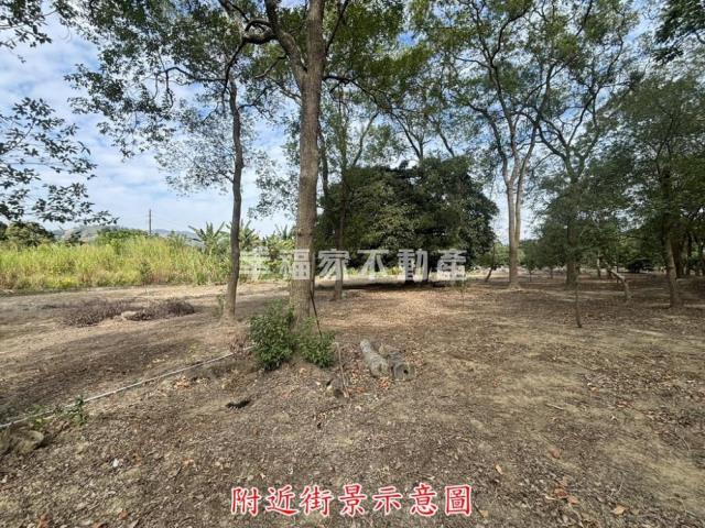 楠西農地-15