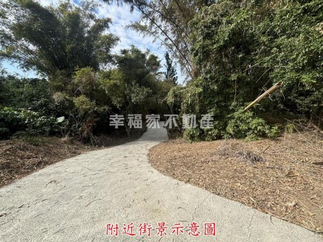 楠西農地-1