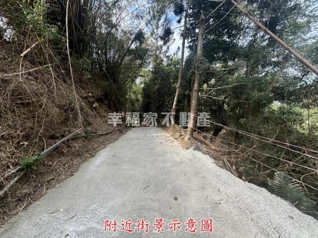 楠西農地-2