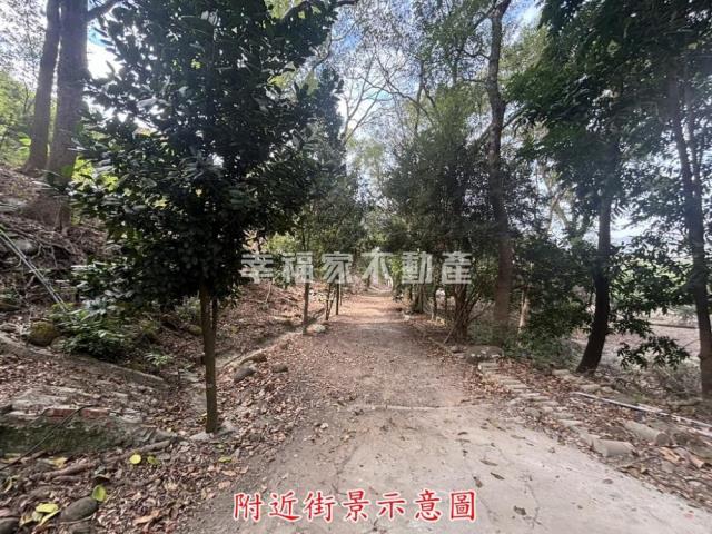 楠西農地-6