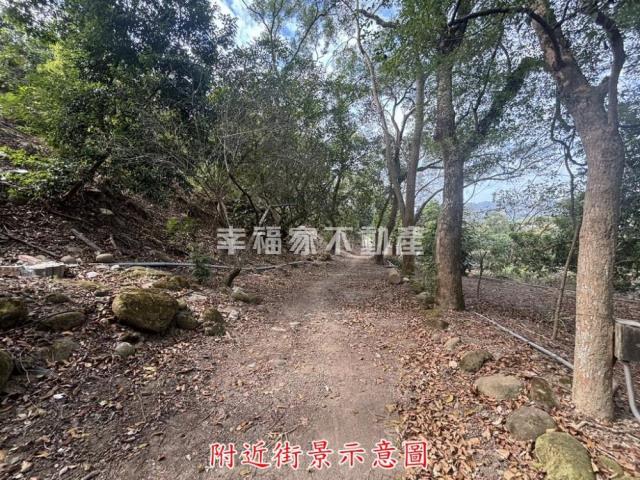 楠西農地-7