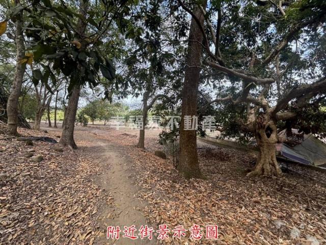 楠西農地-8