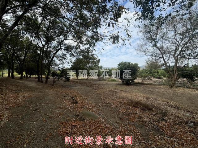楠西農地-9