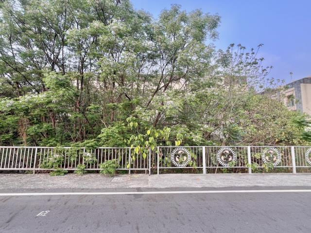 南投建地-2