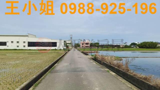 桃園農地-1