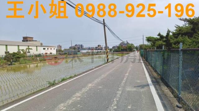桃園農地-3