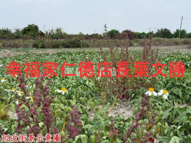 台南農地-11