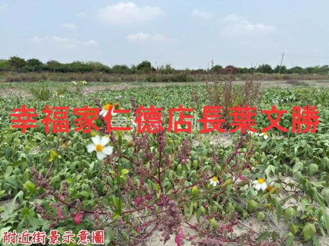台南農地-1