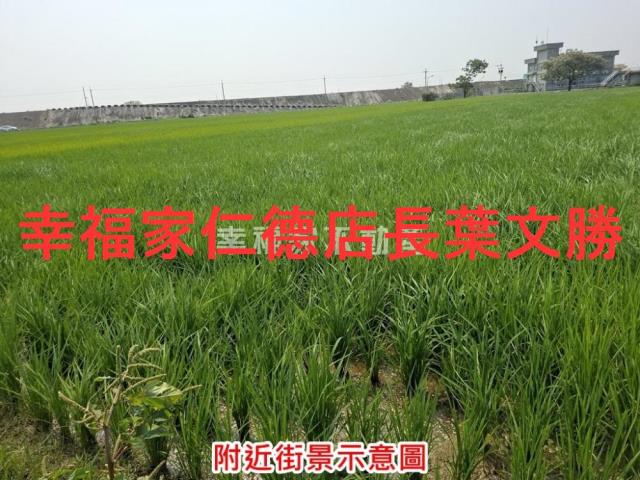 台南西港農地-11