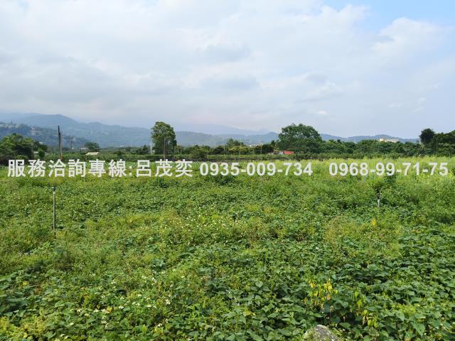 宜蘭礁溪農地-5