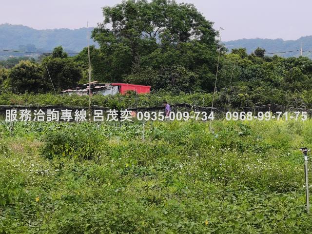 宜蘭礁溪農地-2