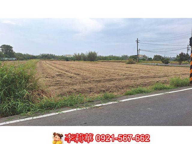 關廟農地-1