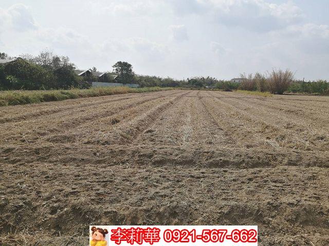 關廟農地-2