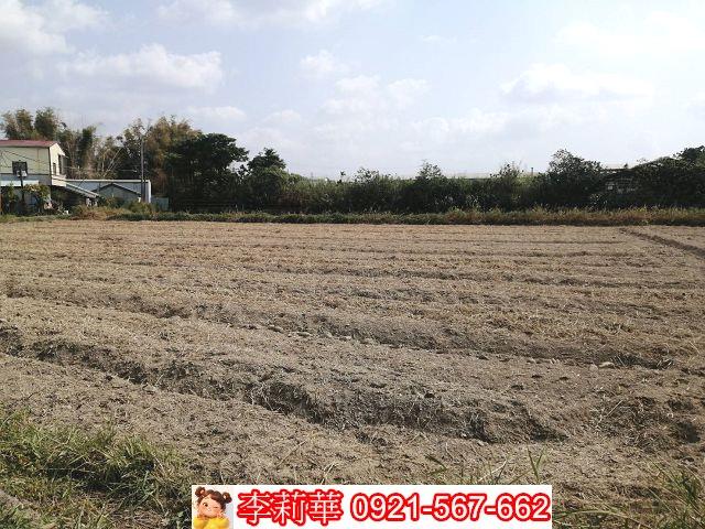 關廟農地-3