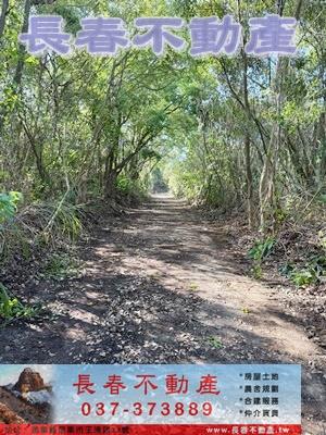 苗栗市農地-4