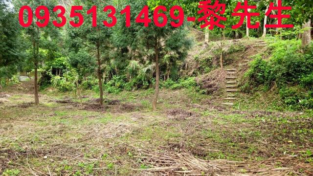 北埔農地-5
