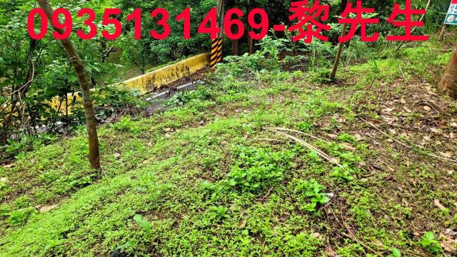 北埔農地-7