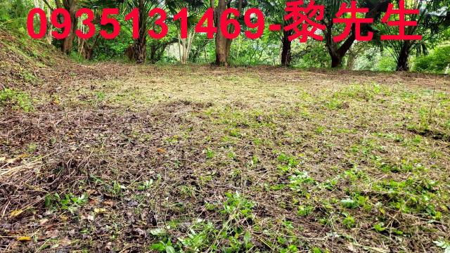 北埔農地-13