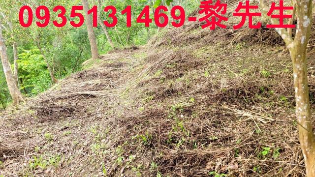 北埔農地-1