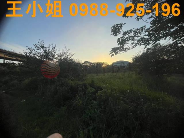 桃園農地-5