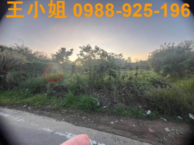 桃園農地-9