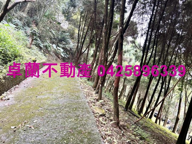 卓蘭農地-10