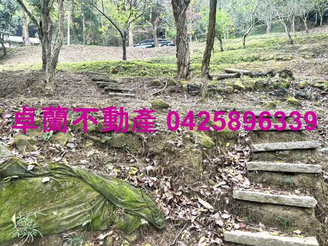 卓蘭農地-14