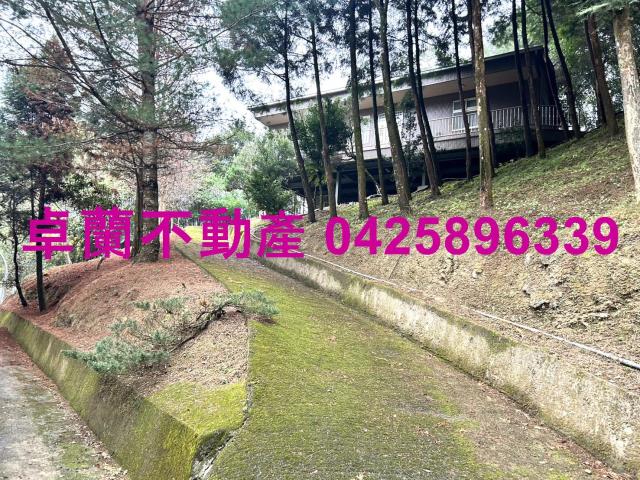 卓蘭農地-2