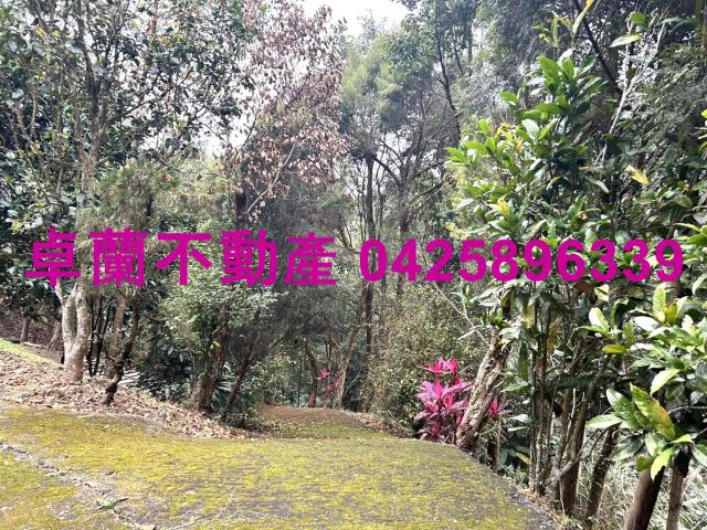 卓蘭農地-3