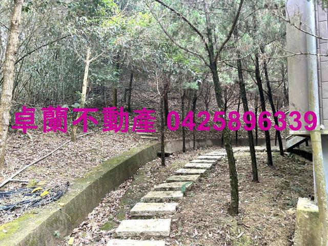 卓蘭農地-5