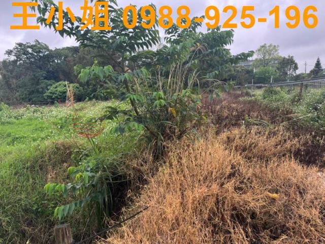 八德農地-12