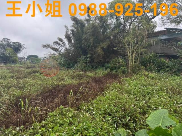 八德農地-15