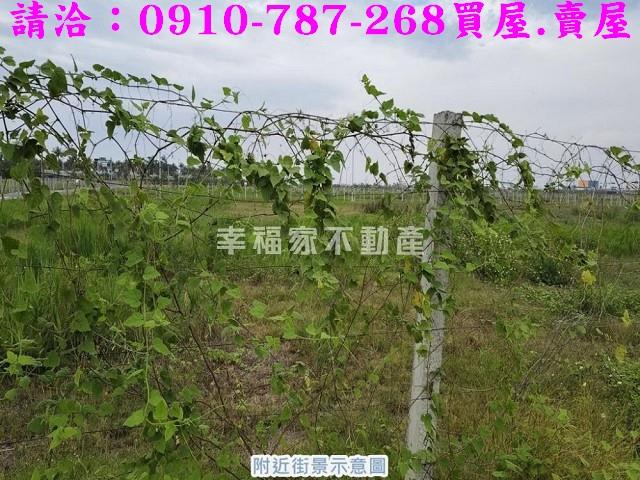 安南建地-7